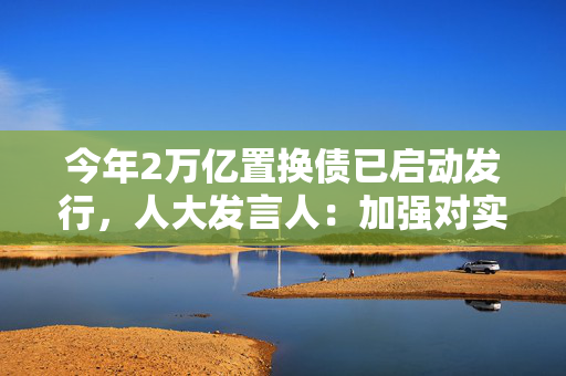 今年2万亿置换债已启动发行，人大发言人：加强对实施情况跟踪和监督