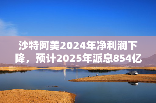 沙特阿美2024年净利润下降，预计2025年派息854亿美元