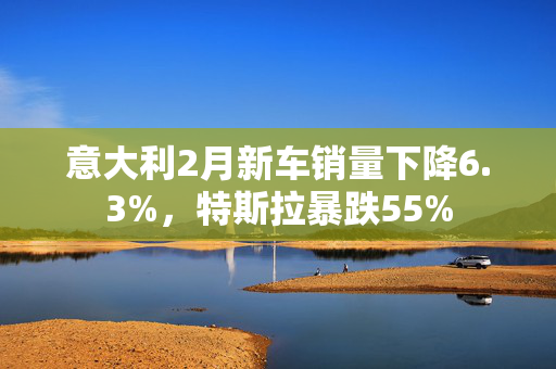 意大利2月新车销量下降6.3%，特斯拉暴跌55%