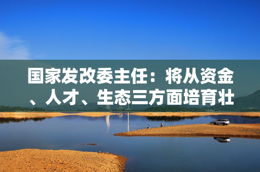 国家发改委主任：将从资金、人才、生态三方面培育壮大新质生产力