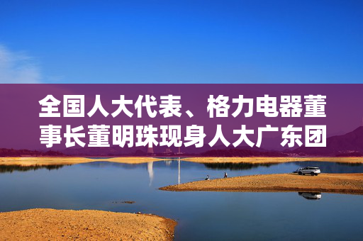 全国人大代表、格力电器董事长董明珠现身人大广东团驻地