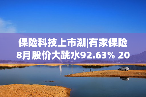 保险科技上市潮|有家保险8月股价大跳水92.63% 2024财年三大业务全部缩水、常年在盈亏平衡线徘徊