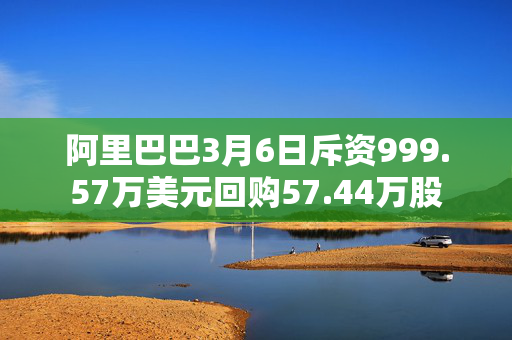 阿里巴巴3月6日斥资999.57万美元回购57.44万股