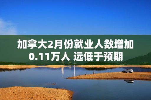 加拿大2月份就业人数增加0.11万人 远低于预期