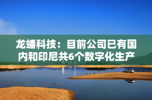 龙蟠科技：目前公司已有国内和印尼共6个数字化生产基地，总建成产能约27万吨