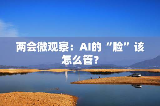 两会微观察：AI的“脸”该怎么管？