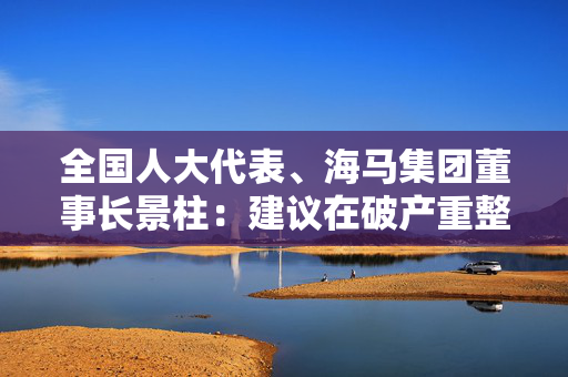 全国人大代表、海马集团董事长景柱：建议在破产重整中保护债权人权益