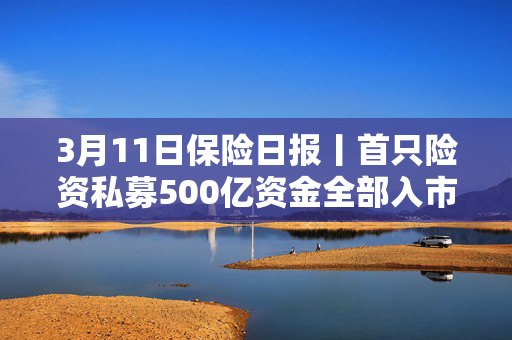 3月11日保险日报丨首只险资私募500亿资金全部入市，保险科技企业扎堆上市，险企校招“抢人”，AI全面卷入！