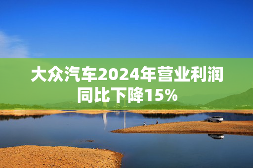 大众汽车2024年营业利润同比下降15%