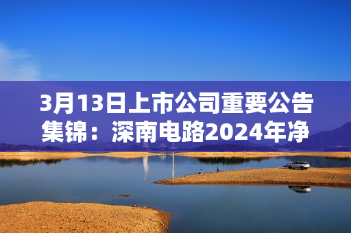 3月13日上市公司重要公告集锦：深南电路2024年净利润同比增长34.29%