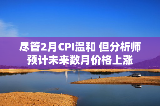 尽管2月CPI温和 但分析师预计未来数月价格上涨