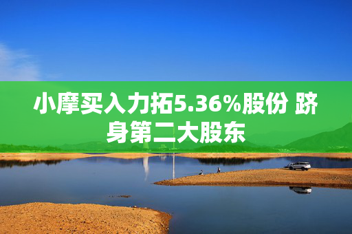 小摩买入力拓5.36%股份 跻身第二大股东