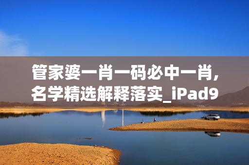 管家婆一肖一码必中一肖,名学精选解释落实_iPad97.65.20