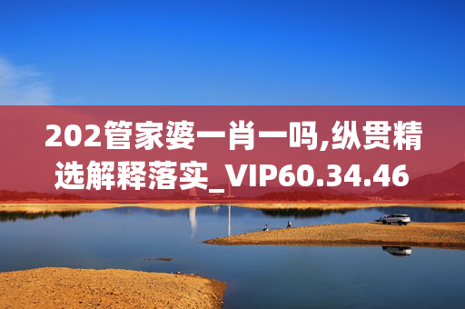 202管家婆一肖一吗,纵贯精选解释落实_VIP60.34.46