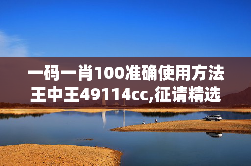 一码一肖100准确使用方法王中王49114cc,征请精选解释落实_V版19.81.51