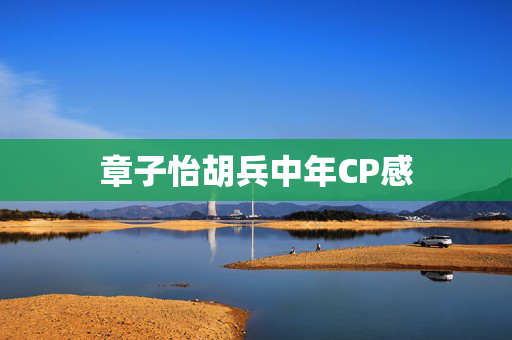 章子怡胡兵中年CP感