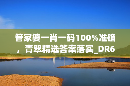 管家婆一肖一码100%准确，青翠精选答案落实_DR654.3