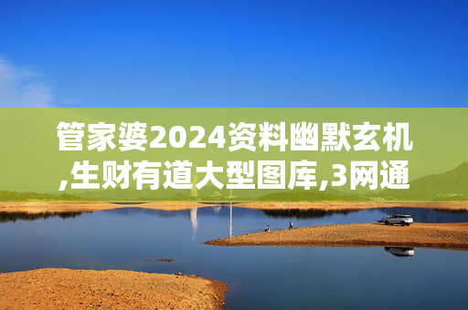 管家婆2024资料幽默玄机,生财有道大型图库,3网通用：实用版479.269