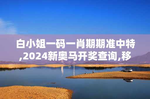 白小姐一码一肖期期准中特,2024新奥马开奖查询,移动＼电信＼联通 通用版：主页版v340.793