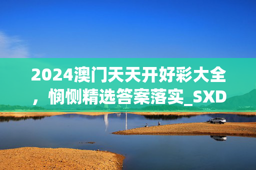 2024澳门天天开好彩大全，悯恻精选答案落实_SXD764.6