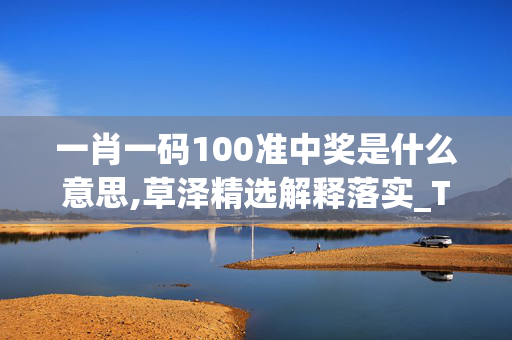 一肖一码100准中奖是什么意思,草泽精选解释落实_The79.5.58