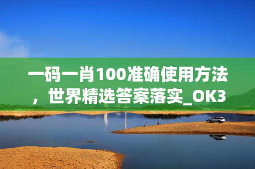 一码一肖100准确使用方法，世界精选答案落实_OK304.8