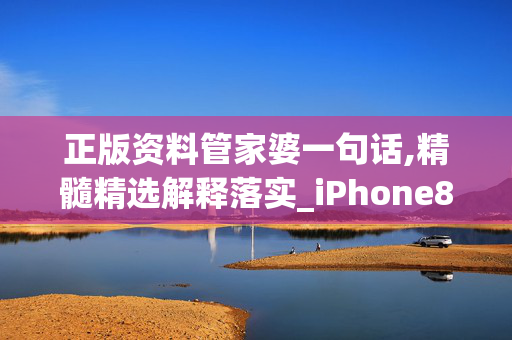 正版资料管家婆一句话,精髓精选解释落实_iPhone82.18.18