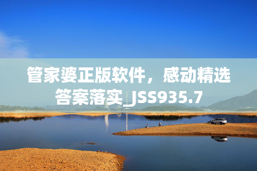 管家婆正版软件，感动精选答案落实_JSS935.7