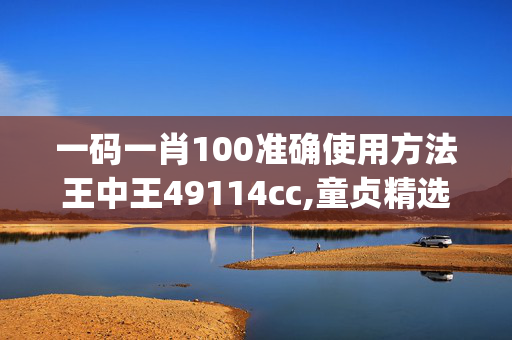 一码一肖100准确使用方法王中王49114cc,童贞精选解释落实_app70.74.70