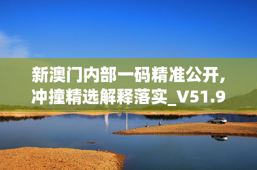 新澳门内部一码精准公开,冲撞精选解释落实_V51.94.99