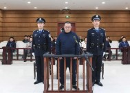 维持死刑，中国华融国际控股公司原总经理白天辉二审宣判