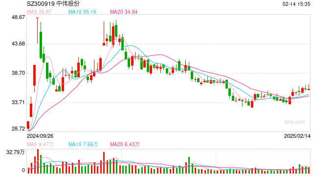 中伟股份拟赴港IPO：A股上市四年直接融资超百亿 募投项目延期变更海外扩张接连受挫