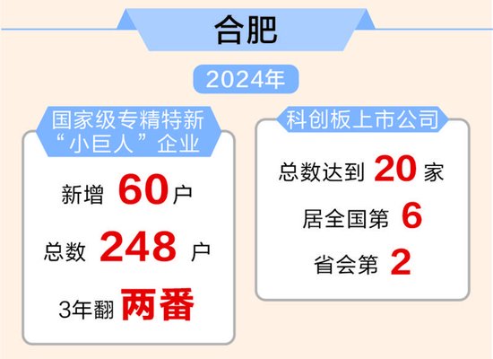 全国人大代表、合肥市市长罗云峰：培育壮大耐心资本 合肥全力写好科技金融大文章