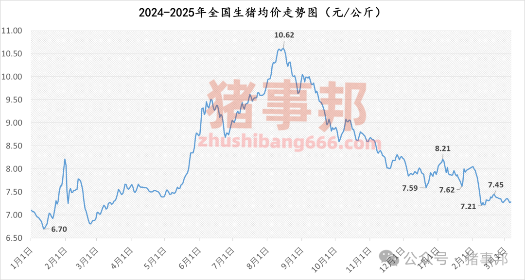 3月7日猪价汇总（北方稍强，南方稍弱！）