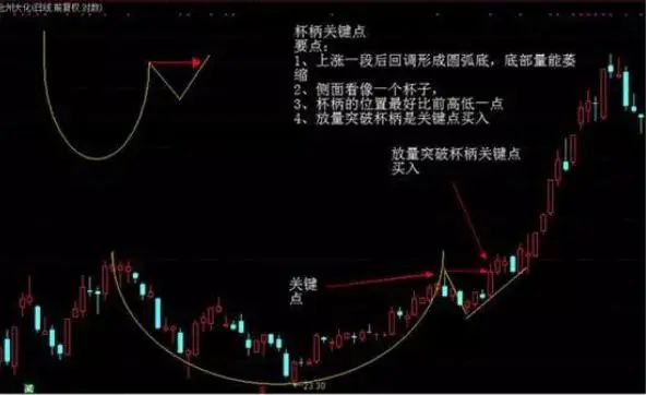 巴菲特点破A股市场：最具价值投资的7只行业龙头股名单一览，谁会是下一只“千倍股”?