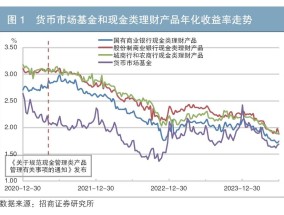 现金管理新方法：货币增强策略的优势与应用