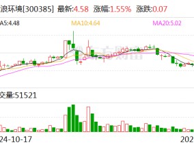 雪浪环境：控股子公司终止投资固废资源化利用项目