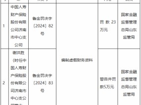 国寿财险济南市中心支公司因编制虚假财务资料被罚23万元