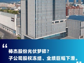 跨界玩家棒杰股份子公司股权又被冻结