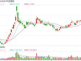 中远海控2024年净利润490.8亿，相当于日赚1.3亿