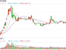 快讯：恒指低开0.54% 科指跌1.05%汽车股普遍回调