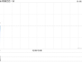 阿里巴巴-W1月2日斥资3998.69万美元回购377.36万股