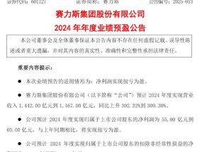 问界M9爆卖让赛力斯赢麻了 2024年扭亏为盈净利润超55亿元