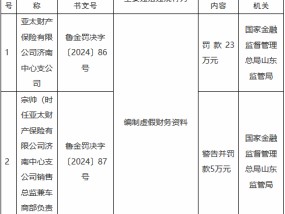 亚太财险济南中心支公司因编制虚假财务资料被罚23万元