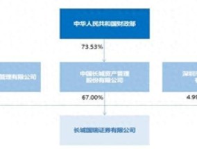 长城国瑞因首席信息官长期空缺等原因被罚，去年信息投入5647万