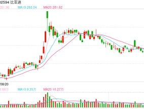 去年销量高增领跑早盘股价却跌近3%，比亚迪：每年大家都有销量增速放缓的担忧，公司对2025年有信心