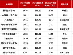 百亿基金 | 2024百亿主动权益类基金TOP4赵枫：在无风险利率持续走低的未来，权益投资仍大有可为