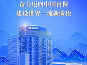 中国再保召开2025年工作会议