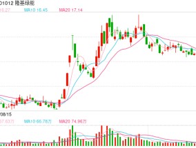 专访隆基绿能创始人、总裁李振国：  接受光伏行业增长放缓的现实，坚定靠技术创新破局