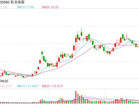 两次分拆上市告吹，卧龙电驱拟出售子公司